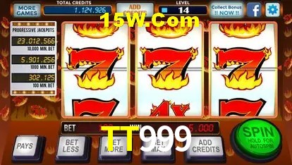 Login Seguro TT999